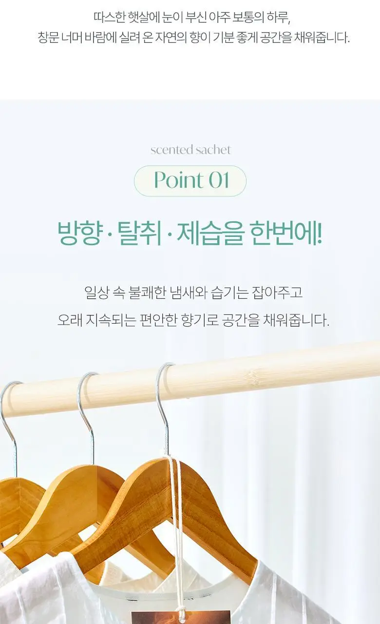 [강릉한정판매]라운드어라운드 센티드 샤쉐 2종 [소나무,커피] 상세페이지 5